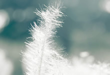 RB莱比锡淘汰对手，晋级下一轮