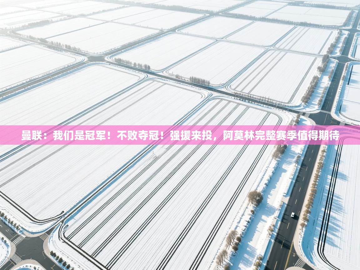 曼联:我们是冠军!不败夺冠!强援来投,阿莫林完整赛季值得期待 第2张