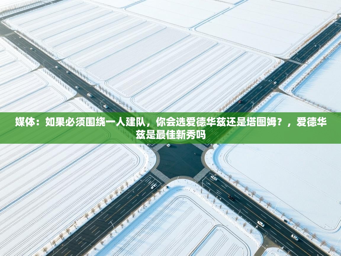 媒体:如果必须围绕一人建队,你会选爱德华兹还是塔图姆?,爱德华兹是最佳新秀吗 第1张