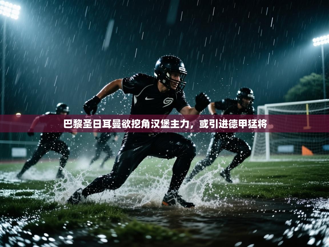 巴黎圣日耳曼欲挖角汉堡主力，或引进德甲猛将  第1张