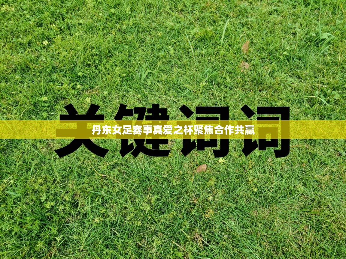 丹东女足赛事真爱之杯聚焦合作共赢