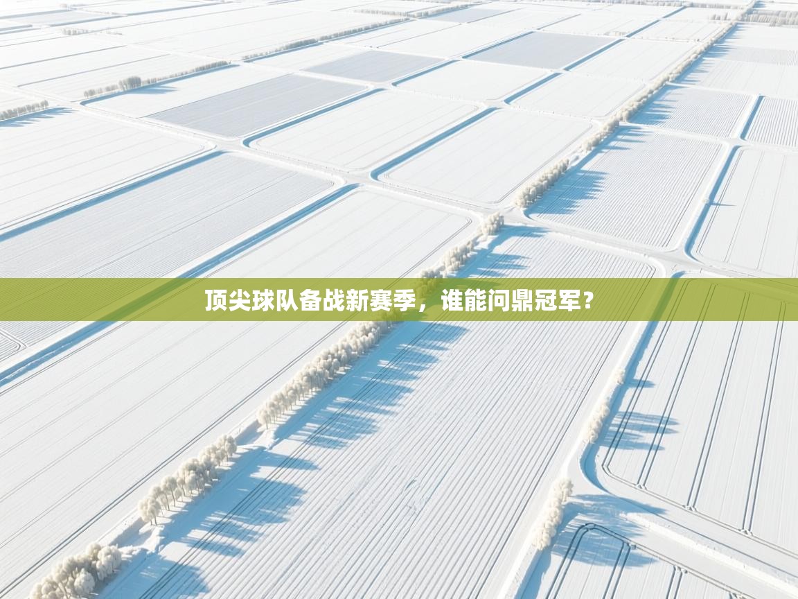 顶尖球队备战新赛季,谁能问鼎冠军? 第2张